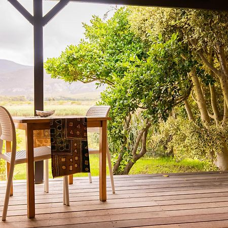 Springfontein River Lodge Stanford Eksteriør bilde