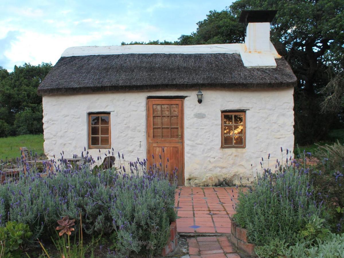 Springfontein River Lodge Stanford Eksteriør bilde