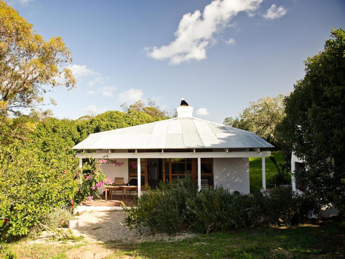 Springfontein River Lodge Stanford Eksteriør bilde