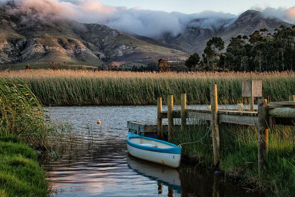 Springfontein River Lodge Stanford Rom bilde